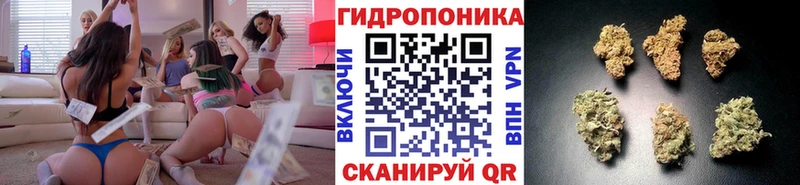 Каннабис сатива MEGA онион Энем